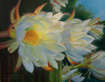White Cactus Flowers Cereus Peruvianus Blooming Column Cactus Oil Painting