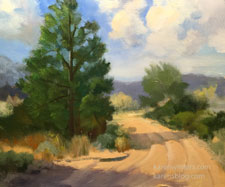 High Desert Breeze Hemet Pinon Cove Highway 74 Idyllwild landscape juniper pine scene